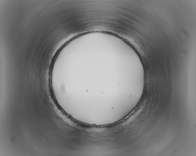 X0000111791134200908201126