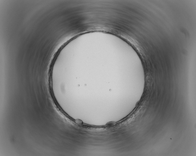 X0000111791135200908201126