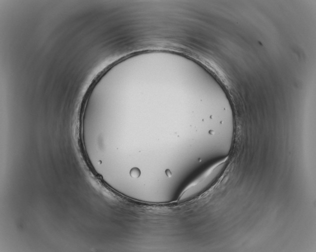 X0000111791136200908201126