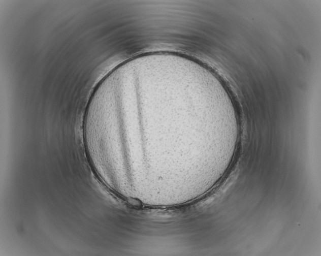 X0000111791137200908201126