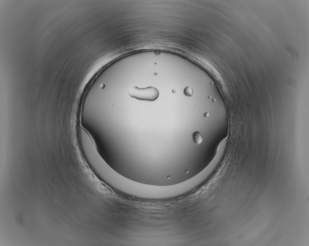 X0000111791138200908201126