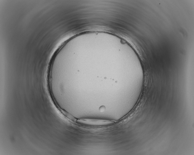 X0000111791139200908201126