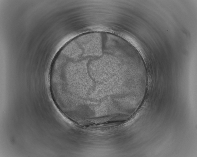 X0000111791141200908201126