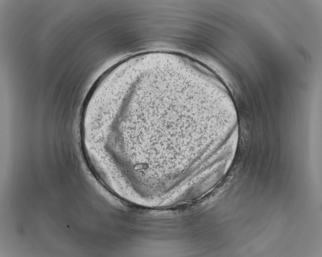 X0000111791142200908201126