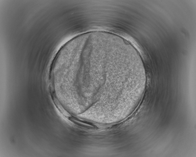 X0000111791143200908201126