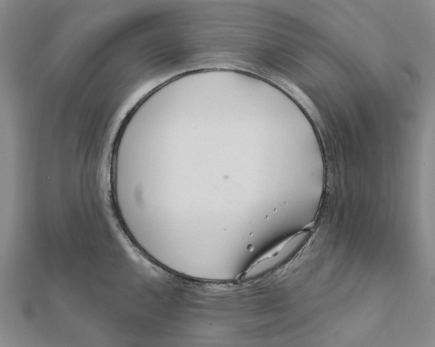 X0000111791144200908201126