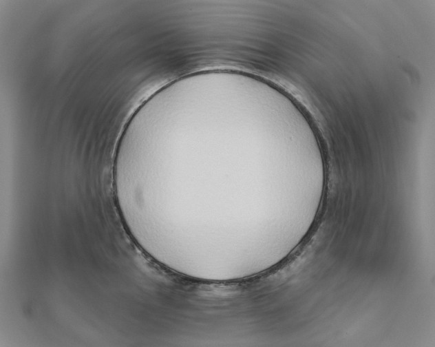 X0000111791145200908201126