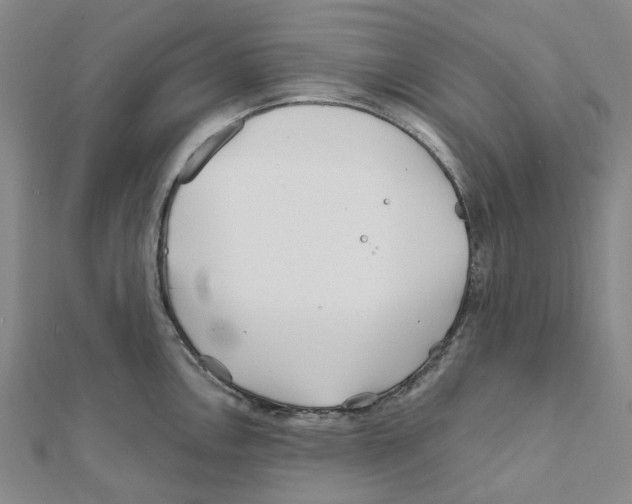 X0000111791146200908201126