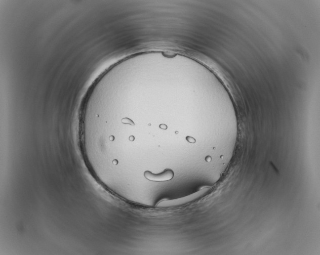 X0000111791147200908201126