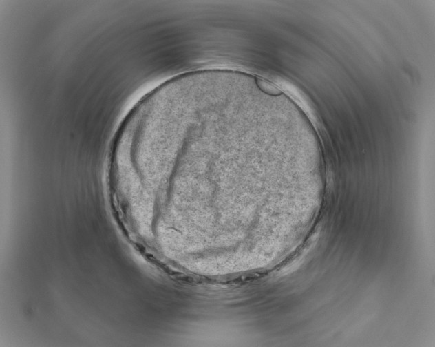 X0000111791149200908201126