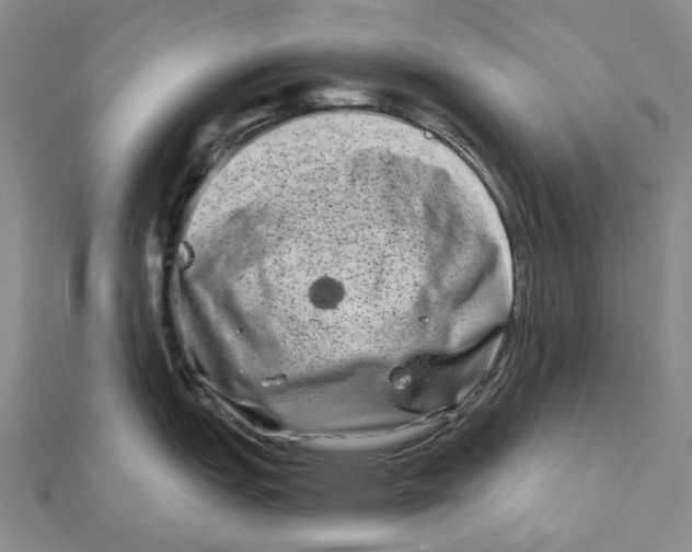 X0000111791151200908201126