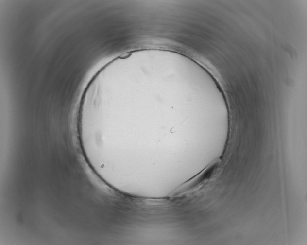 X0000111791152200908201126