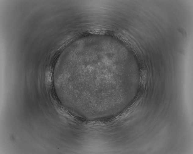 X0000111791154200908201126