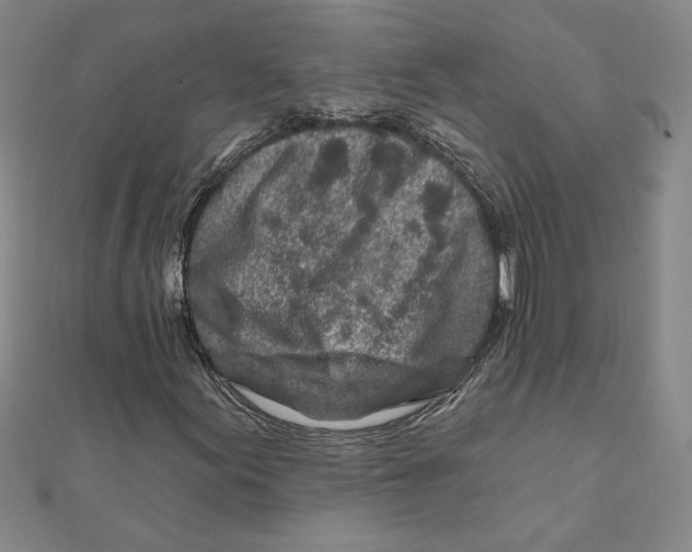 X0000111791155200908201126