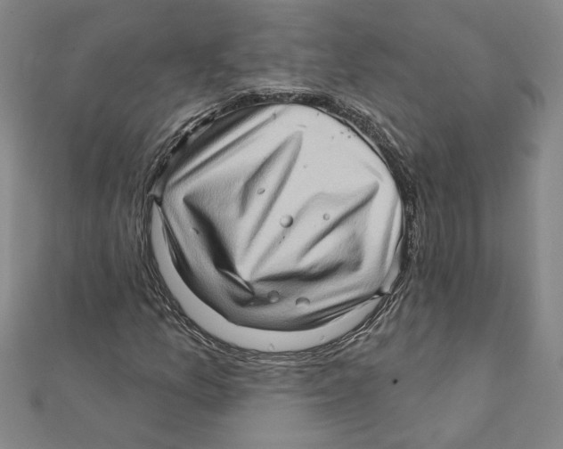 X0000111791157200908201126