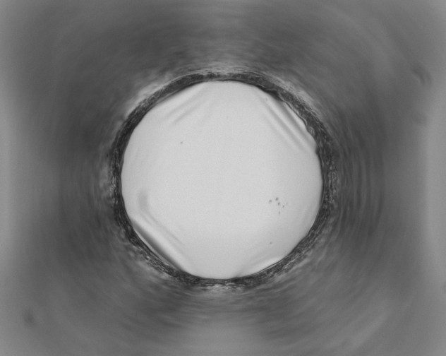 X0000111791160200908201126