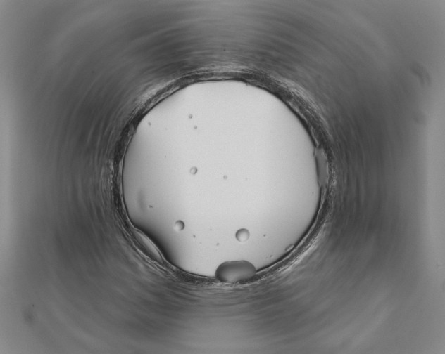 X0000111791161200908201126