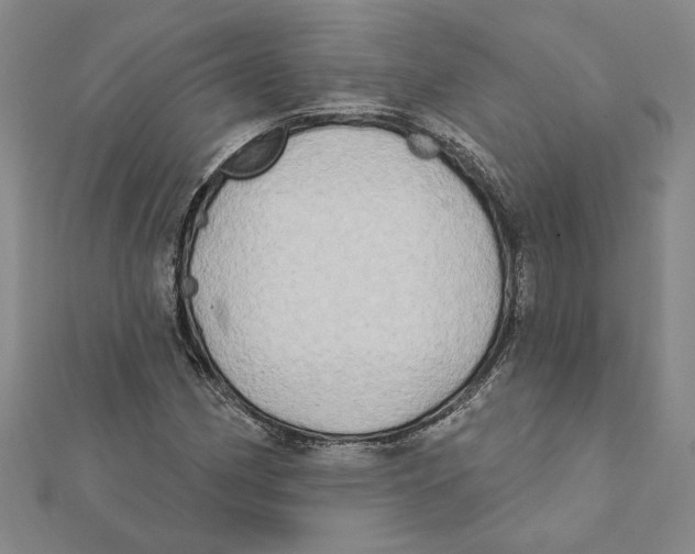 X0000111791162200908201126