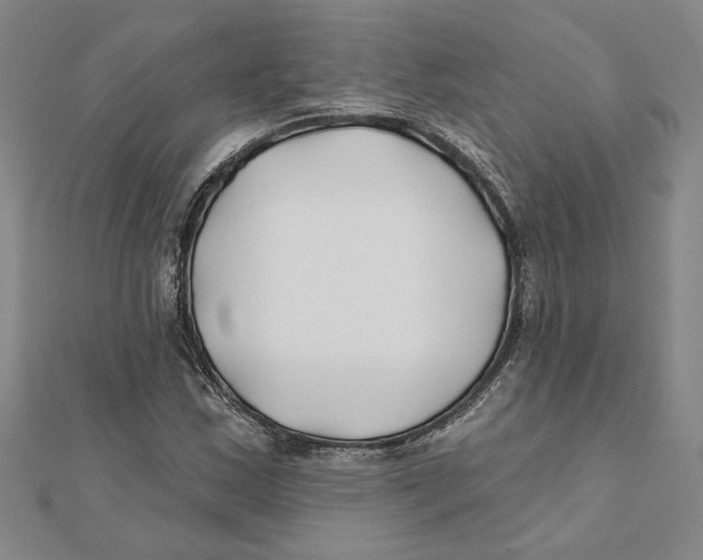 X0000111791163200908201126