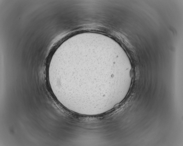 X0000111791164200908201126