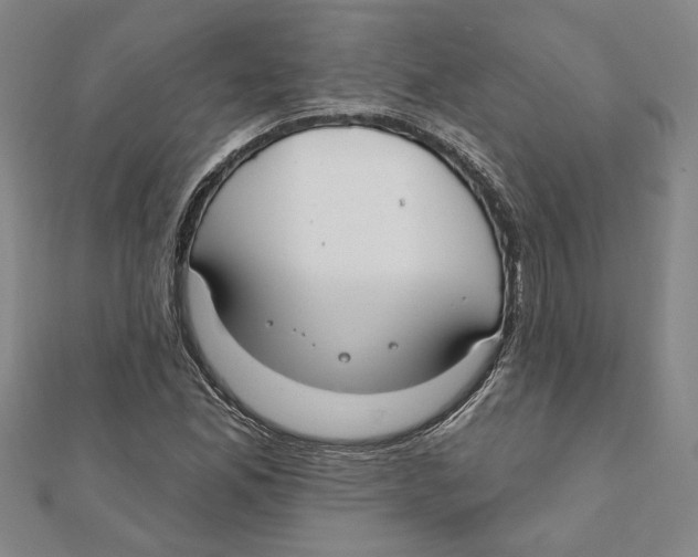 X0000111791165200908201126