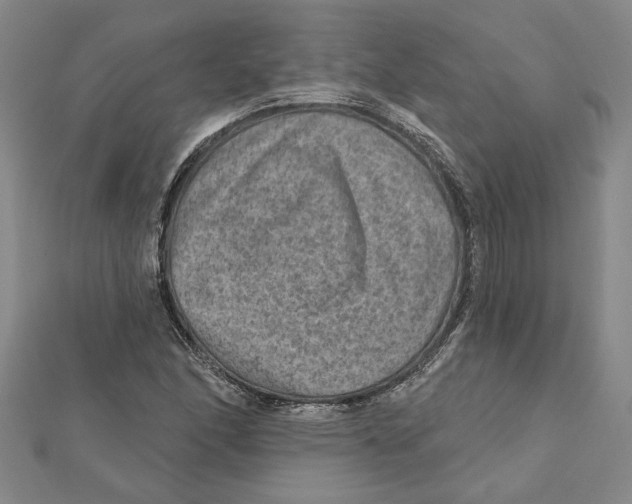 X0000111791166200908201126