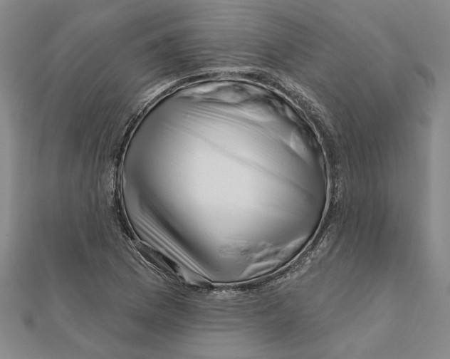 X0000111791169200908201126