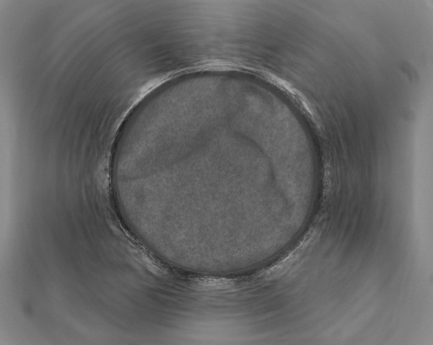 X0000111791170200908201126