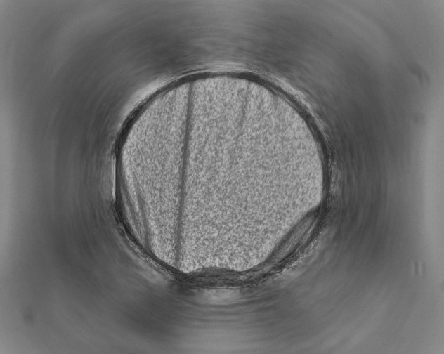 X0000111791171200908201125