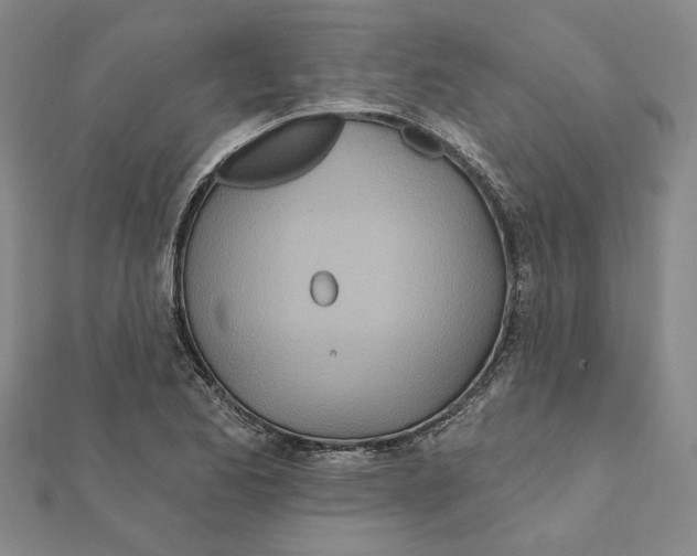 X0000111791173200908201125