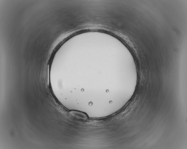 X0000111791175200908201125