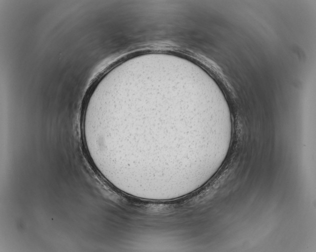 X0000111791176200908201125