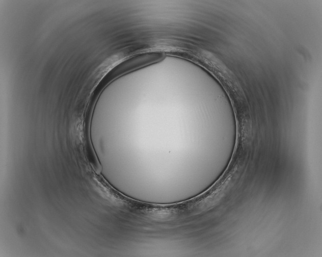 X0000111791177200908201125