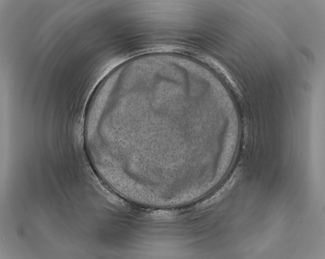 X0000111791178200908201125