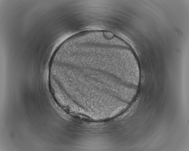 X0000111791179200908201125