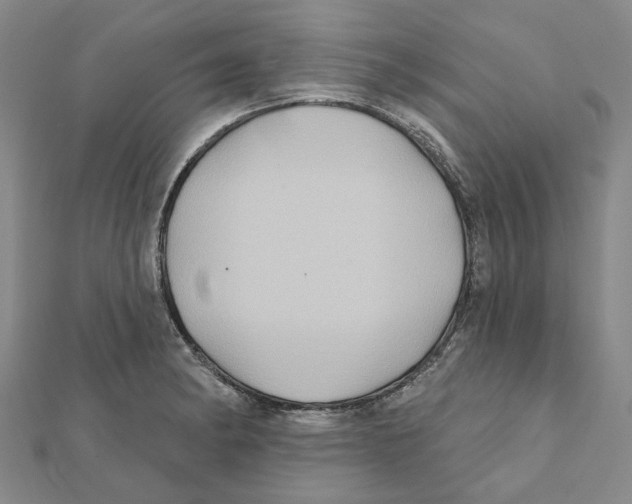 X0000111791182200908201125