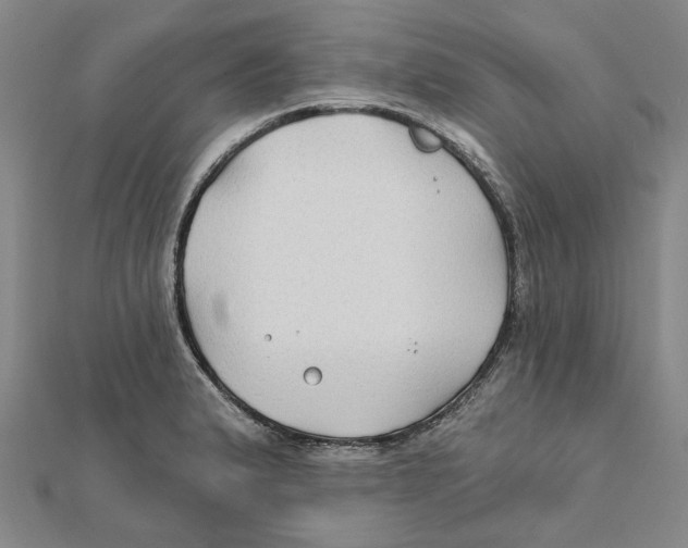 X0000111791183200908201125