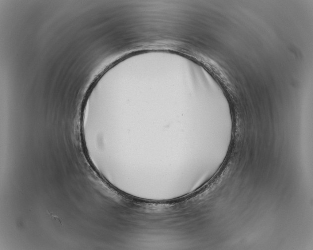 X0000111791184200908201125