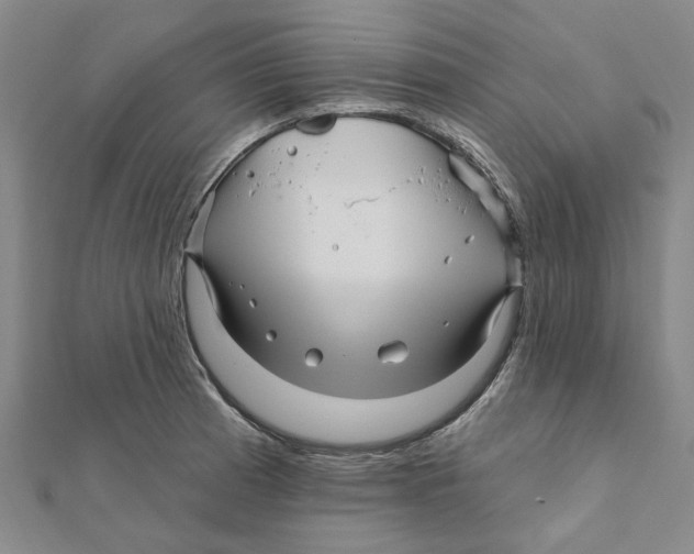 X0000111791185200908201125