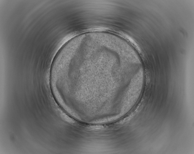 X0000111791186200908201125