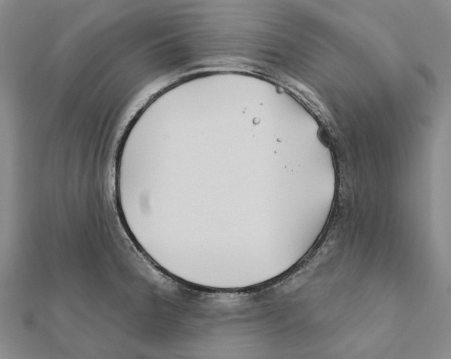 X0000111791188200908201125