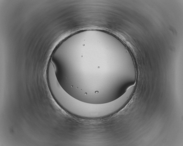 X0000111791189200908201125