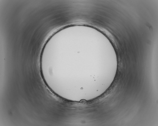 X0000111791191200908201125