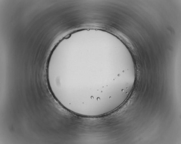 X0000111791192200908201125