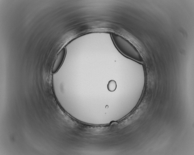 X0000111791193200908201125