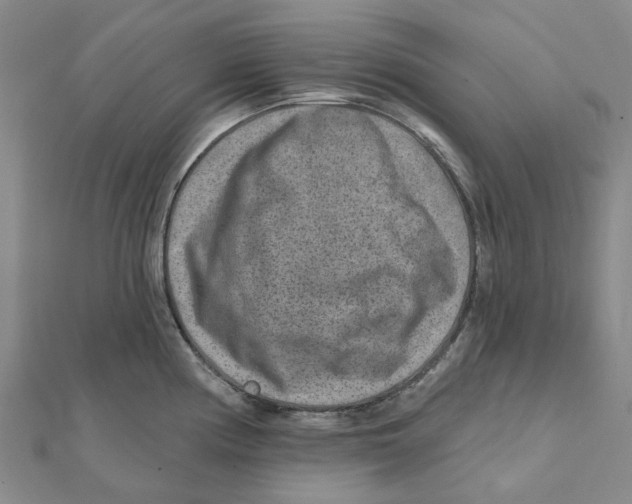 X0000111791194200908201125