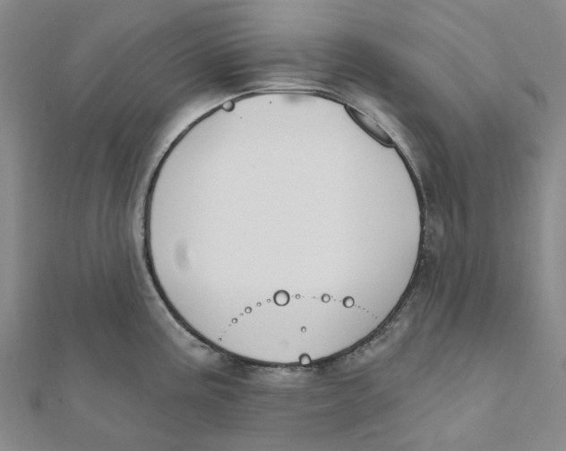 X0000111791195200908201125