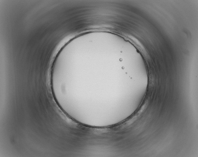 X0000111791196200908201125