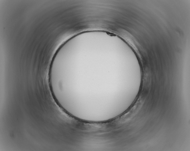 X0000111791197200908201125