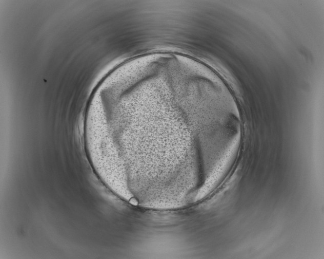 X0000111791198200908201125